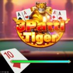 teen patti tiger